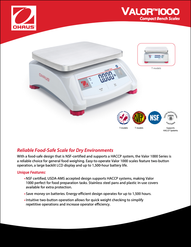 Valor™ 1000 - V12P5TS Scale