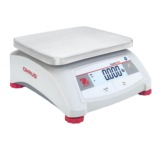 Valor™ 1000 - V12P5TS Scale